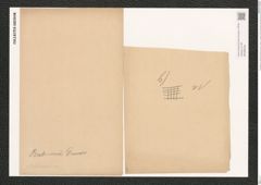 Pleurosigma var. brebissonii emtpy (de-Toni-Nr.: Genus 13, Species 1063) Zeichnungen Sammlung Grunow (NHMW-BOT-W0369046)
